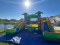 69699104 544c 46ce 933f d5141504b921 1747538798 Tropical Playland